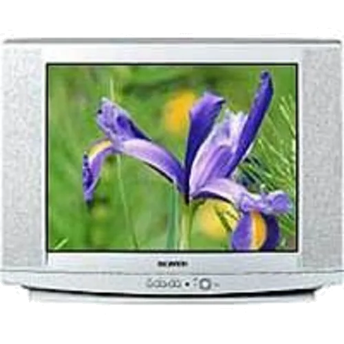 Замена трансформаторов подсветки Samsung CS-29U2 WTR